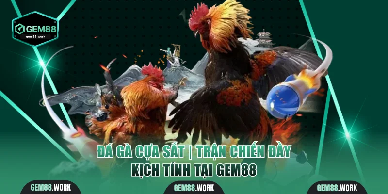 Đá Gà Cựa Sắt | Tham Gia Trận Chiến Đầy Kịch Tính Tại Gem88 Đá gà cựa sắt